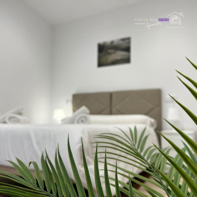 Apartamento El Mozo Labastida Exterior foto